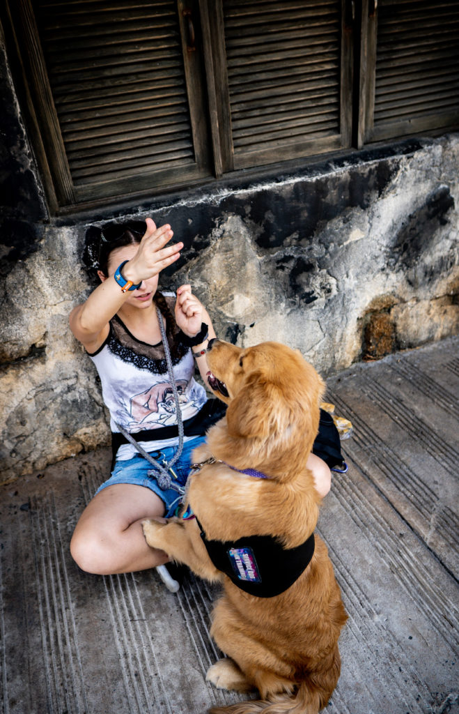 A girl in a white vest top and blue denim shorts sits crosslegged on grey decking. A golden retriever, wearing a black service dog vest, sits on its hind legs facing the girl (with its back to the camera). The dog focuses on the girl's hand which is raised in the air across her face, above the dog's head. Her other hand is clenched near her, holding a treat.