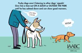 Pup Etiquette: Personal Boundaries and Antagonisms